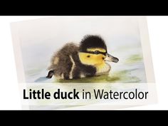 a duck in watercolor with the words little duck in watercolor