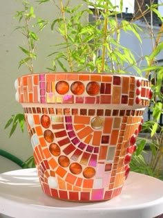 a potted plant sitting on top of a white table