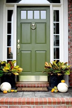 two potted plants are sitting on the front steps next to a green door with pumpkins and gourds