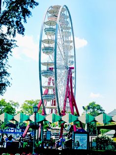 a ferris wheel in an amusement park on a sunny day