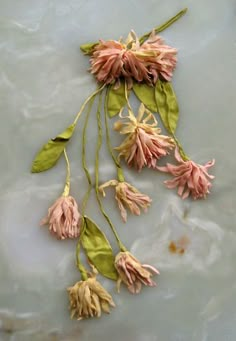 pink flowers with green leaves floating on water