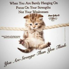 a kitten is hanging on a rope with the caption, when you are barely hanging on focus on your strengths not your weaknesss