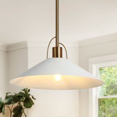 a white light hanging over a kitchen counter next to a potted plant and window