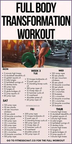 the full body transformation workout poster