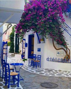 an outdoor cafe with blue chairs and flowers growing on the wall, in front of a white building