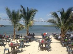 people are sitting at tables on the beach with palm trees in front of them and water in the background