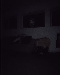 a dark room with two windows and a horse in the window sill at night