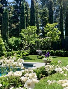 a garden with white flowers in the foreground and a swimming pool in the background