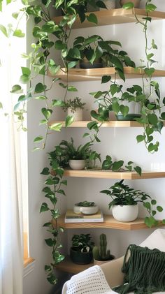 a living room filled with lots of green plants and potted plants on wooden shelves