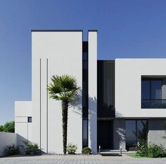 an artist's rendering of a modern house with palm trees in the front yard