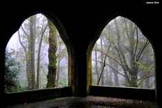 two arched windows in an old building with rain coming through the trees and leaves on the ground