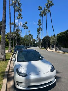 a white car parked on the side of a road next to palm trees