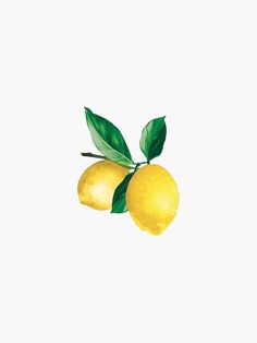 two yellow lemons with green leaves on them against a white background in an illustration