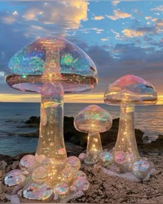 some very pretty lights up mushrooms by the water