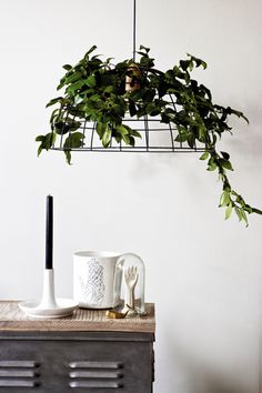 a potted plant hanging over a table next to a coffee cup and spoons