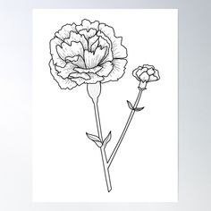 a black and white drawing of a flower poster