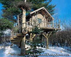 a tree house built into the side of a snowy hill