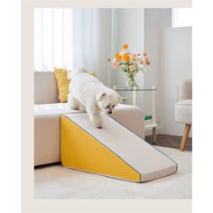 a small white dog standing on top of a yellow and white slide in a living room