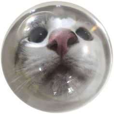 a close up of a cat's face in a glass ball ornament