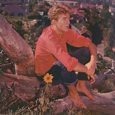 a young man sitting on top of a tree branch