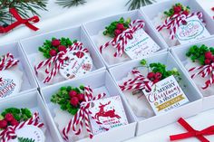 twelve christmas themed soaps in white boxes with red and green ribbons on them, surrounded by pine branches