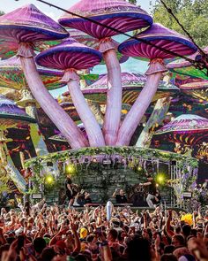 a large group of people standing on top of a stage