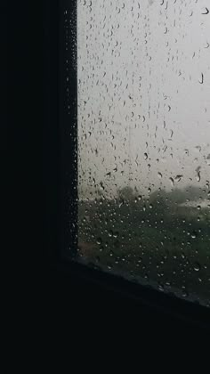 rain drops on the window and grass outside