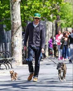 a man walking two dogs on a leash