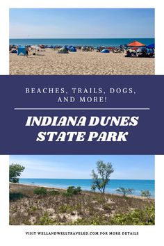 the indiana dunes state park and beaches trails, dogs, and more with text overlay