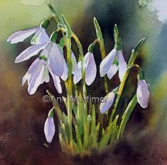 watercolor painting of snowdrops with green stems