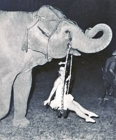 an elephant standing next to a woman on top of a grass covered field with chains hanging from it's trunk