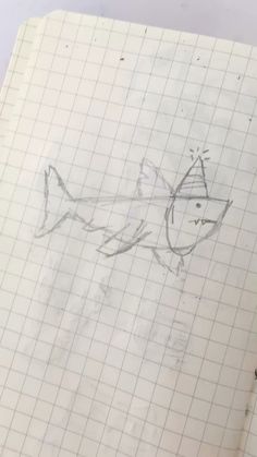 a drawing of a fish with a hat on it's head is shown in graph paper