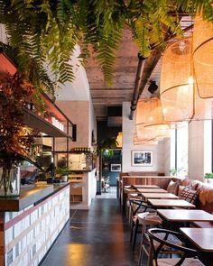 the interior of a restaurant with plants hanging from the ceiling and tables in front of it