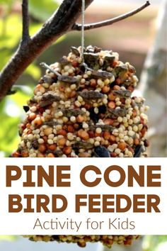 a pine cone bird feeder hanging from a tree with text overlay that reads, pine cone bird feeder activity for kids