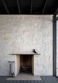 an empty room with a fire place in the middle and a bird sitting on top of it