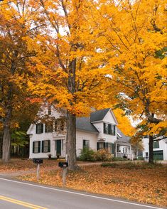 House in New England surrounded by gold fall leaves Minimalism Home, Exterior Home, Home Inspo, Fall Inspo, House Portraits