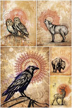 four different images of animals and birds on paper with inking technique, each depicting an animal's head