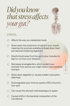 Our gut and brain are in constant communication, and stress can seriously disrupt this conversation. When we're stressed, our body goes into 'fight or flight' mode, which can lead to all sorts of digestive discomfort. So, what can we do about it? If you want to learn more about the gut-brain connection and strategies to support it, check out our FREE screening of The Microbiome series starting August 14! Gut Brain Connection, Hormone Nutrition, Flight Mode, Gut Health Diet, Holistic Diet, Healthy Hormones, Gut Brain, Nutritional Therapy, Hormone Health