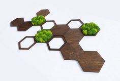 four pieces of wood with broccoli and other green plants on them, arranged in the shape of hexagons