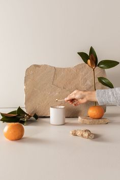 a person holding a spoon near some oranges on a table with a rock and plant