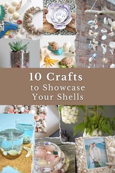 the words 10 crafts to showcase your shells are shown above pictures of seashells