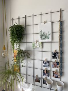 a wall with pictures and plants on it, hanging from the side by pegs