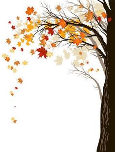 an autumn tree with falling leaves on white background stock photo - 787982