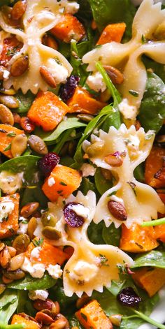 Fall Salad with butternut squash, pumpkin seeds, cranberries, spinach, goat cheese, and pasta - close-up photo. Fall Salad With Pumpkin Seeds, Autumn Salad With Maple Dressing, Lighter Thanksgiving Side Dishes, Immune Boosting Salad, Fall Salad Maple Dressing, Roasted Butternut Squash Pasta Salad, Fall Inspired Dishes, Thanksgiving Slaw Salad, Nut Free Salad Recipes