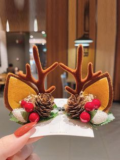 a pair of reindeer antlers with berries and pine cones on their ears are being held up