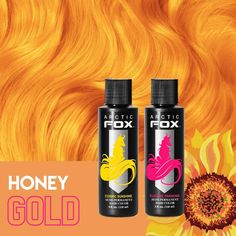 Honey Gold Hair, Gold Hair Dye, Yellow Hair Color, Arctic Fox Hair Color, Fox Hair