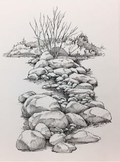 Rocks and Trees in Water Drawing