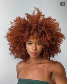 Dark Ginger Hair, Cheveux Oranges, Cabello Afro Natural, Curly Fro, Honey Brown Hair, Ginger Hair Color, Dyed Hair Inspiration, Colored Curly Hair