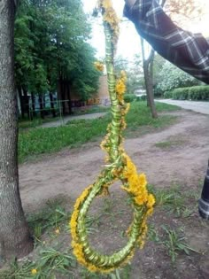 a man is holding a rope with yellow flowers on it in the grass next to a tree