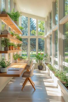 the sun shines through large windows into a room with plants and potted plants